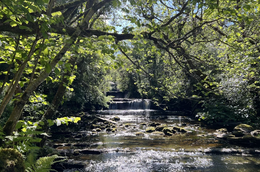 clean river