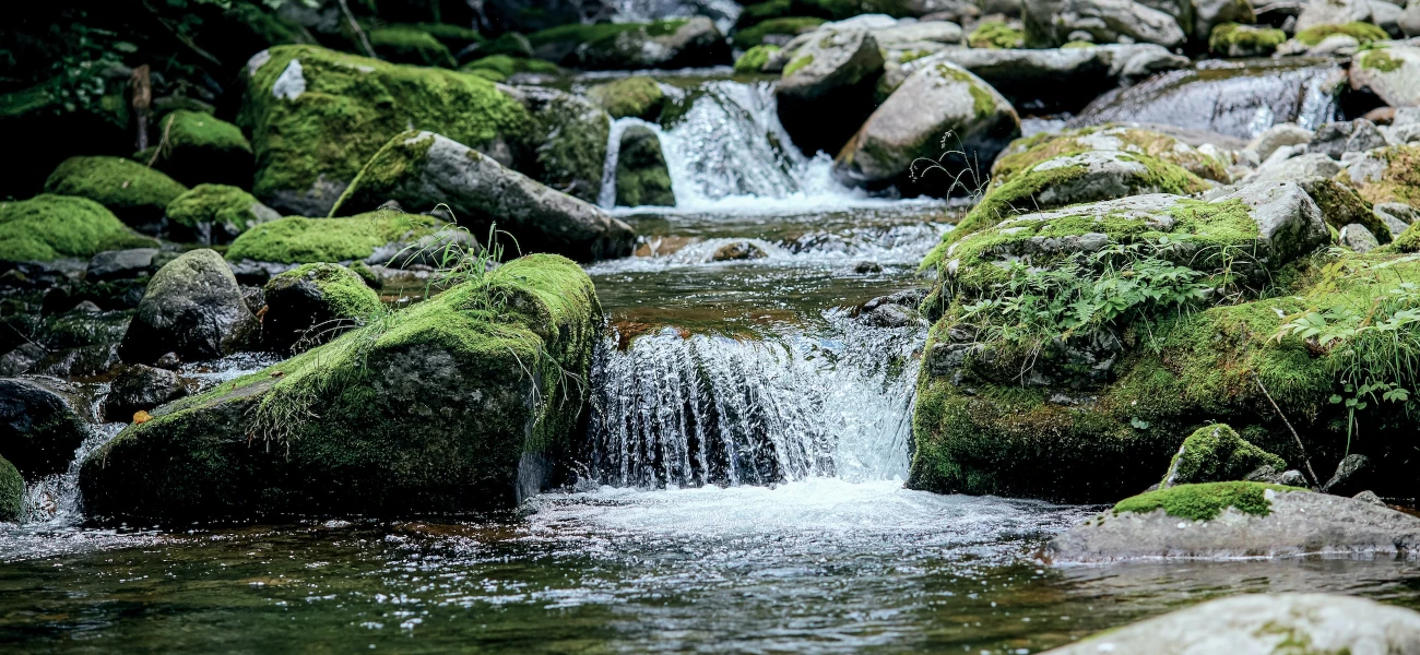 stream